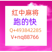 重大通知科普24小时1元1分红中麻将微信群