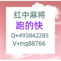 盘点十大我来教大家1分12块24小时在线红中麻将群