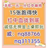 今日演绎一元一分广东红中麻将正在进行中