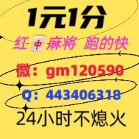 到哪里找千人老平台24小时1分1-2块红中麻将微信群-千人大群