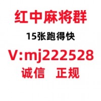 正规24小时跑得快红中麻将群一元一分哔哩/小红书