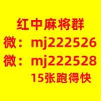 内部消息红中麻将一元一分全中优质服务