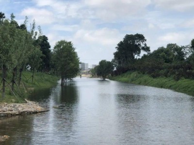 供应浙江杭州河道除臭剂、宁波河道除臭剂图1