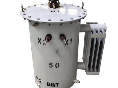 D20-BM-10/10-023 10KV 铁路信号变压器图3