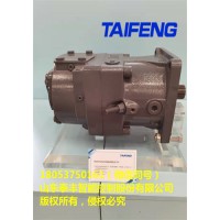 TFA11V095LRDS11变量柱塞泵厂家供应