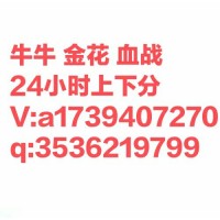 一元一分牛牛金花群，四川血战一元一分群