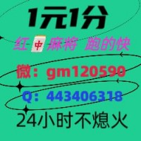 麻将介绍上下分24小时红中麻将群小红书