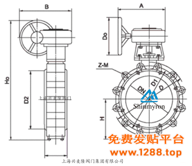 凸耳式蝶阀主要外形连接尺寸2