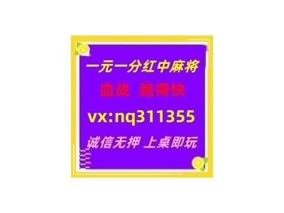 详细了解广东红中麻将跑得快火爆进行中