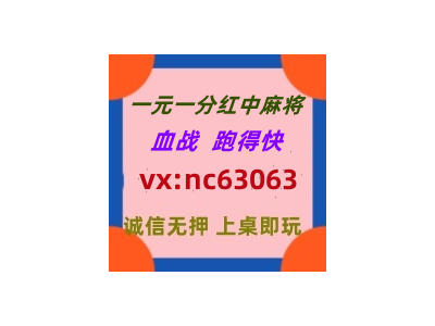 (行业领先的)红中麻将一元一分2024已更新