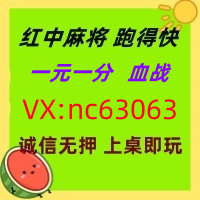 (分享经典)一元一分红中麻将@怎么加入