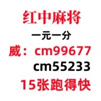 【美丽】这里有24小时1元1分麻将群