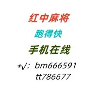 娱乐1.9广东麻将24小时开放