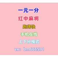 娱乐4.8一元一分红中麻将24小时开放