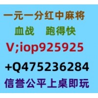 红云烈火广东一元一分红中麻将安全正规